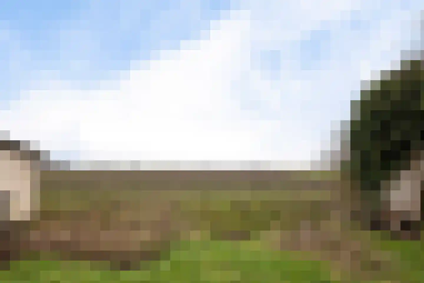 Oude Dijk 49 Den Andel foto 3
