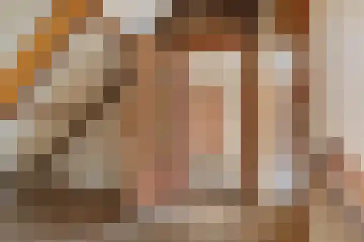 Oude Dijk 49 Den Andel thumbnail 32