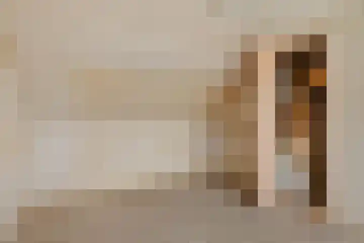 Oude Dijk 49 Den Andel thumbnail 34