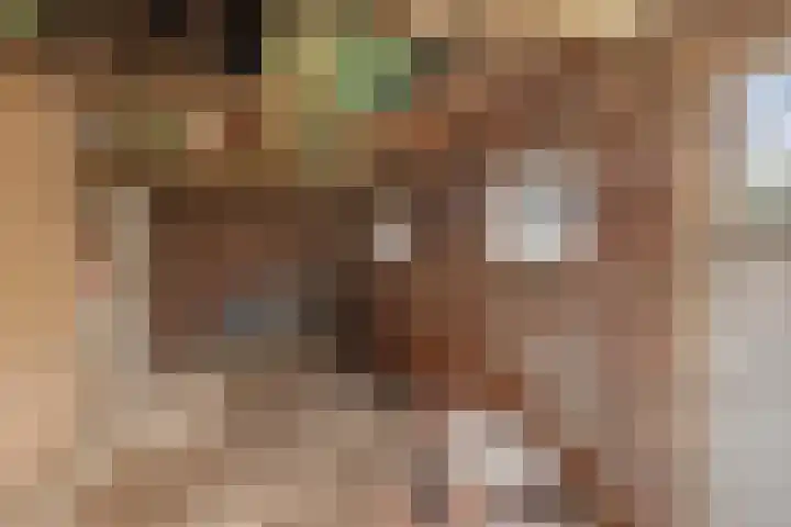 Oude Dijk 49 Den Andel thumbnail 37