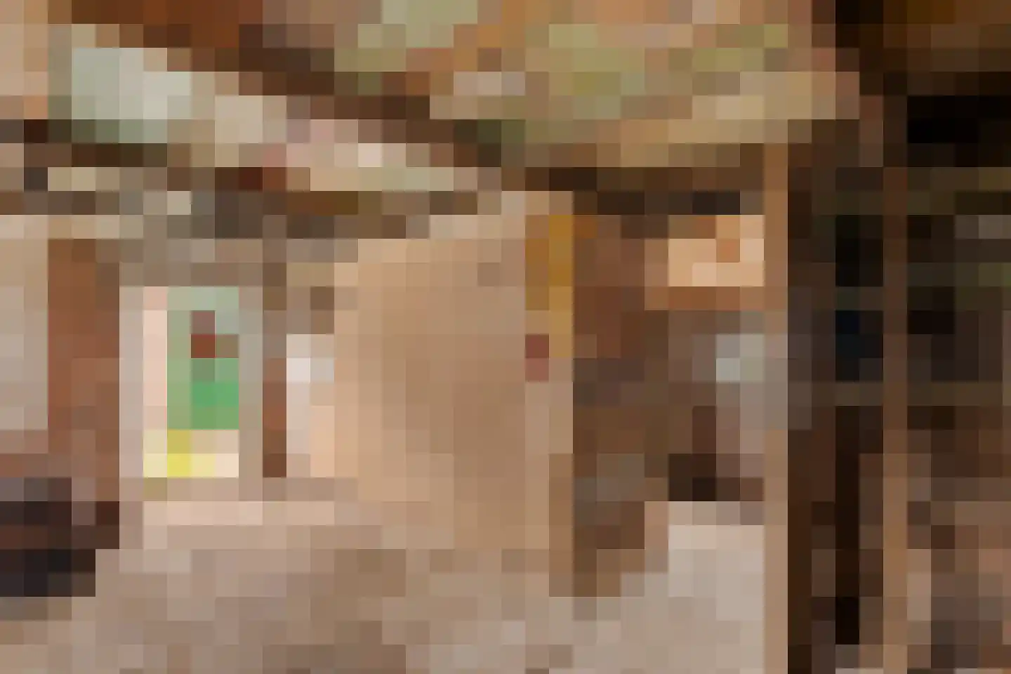Oude Dijk 49 Den Andel thumbnail 38