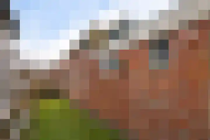 Oude Dijk 49 Den Andel thumbnail 40