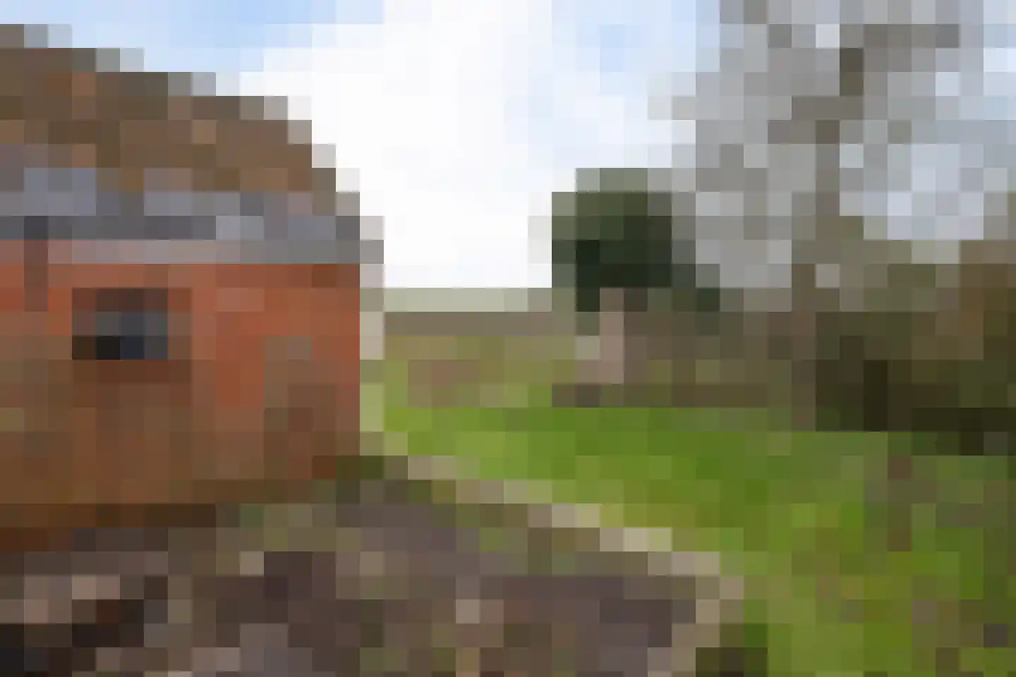 Oude Dijk 49 Den Andel thumbnail 45