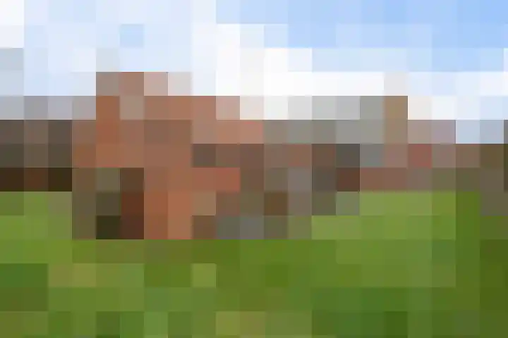 Oude Dijk 49 Den Andel thumbnail 6