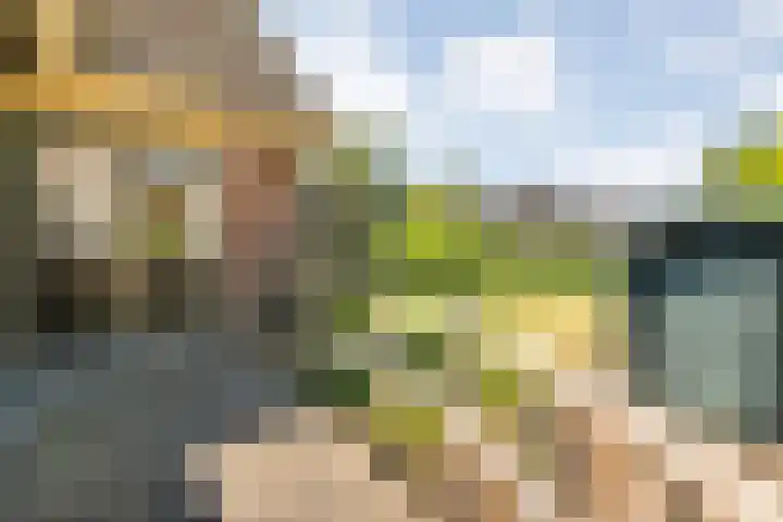 Oude Dijk 54 Beuningen thumbnail 25