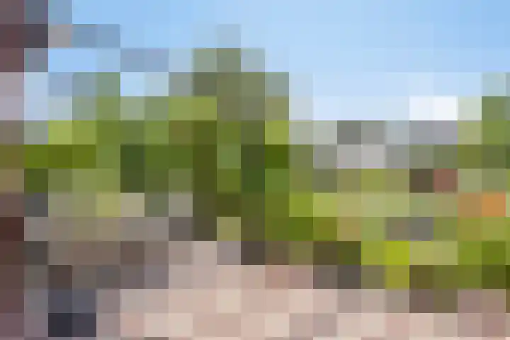 Oude Dijk 6 Kapelle thumbnail 10