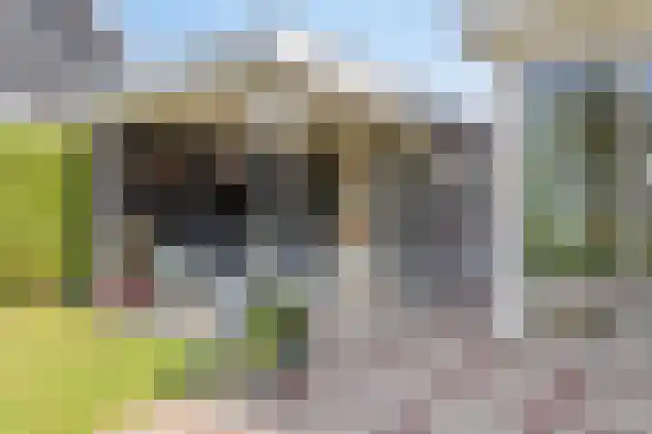 Oude Dijk 6 Kapelle thumbnail 12