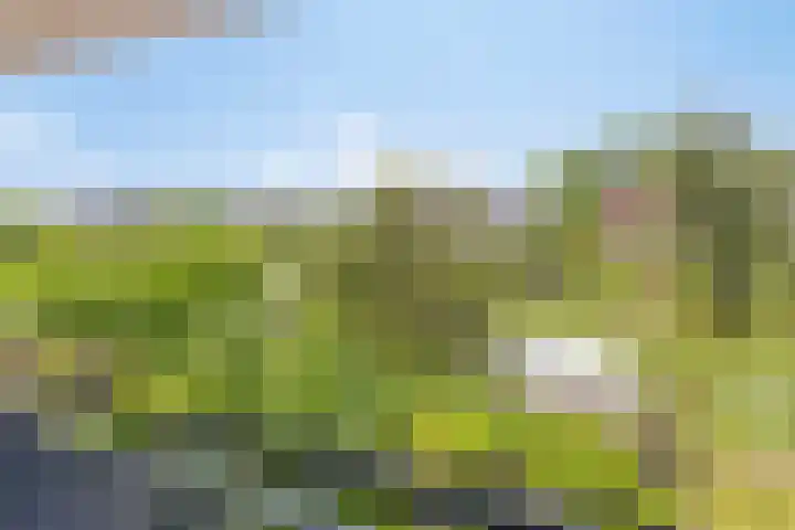 Oude Dijk 6 Kapelle thumbnail 29