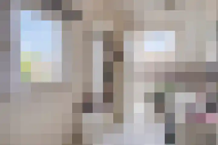 Oude Dijk 6 Kapelle thumbnail 30