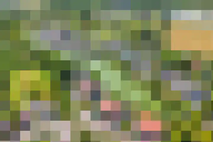 Oude Dijk 6 Kapelle thumbnail 4