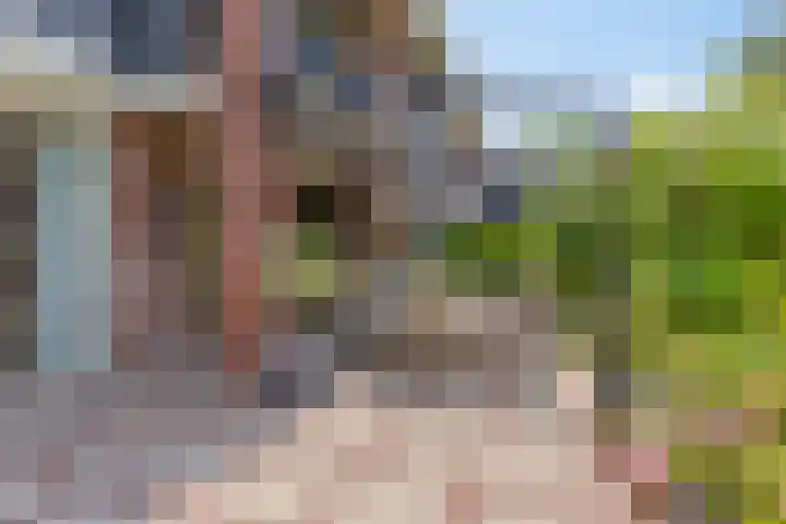 Oude Dijk 6 Kapelle thumbnail 41