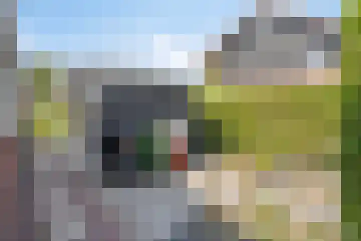 Oude Dijk 6 Kapelle thumbnail 42