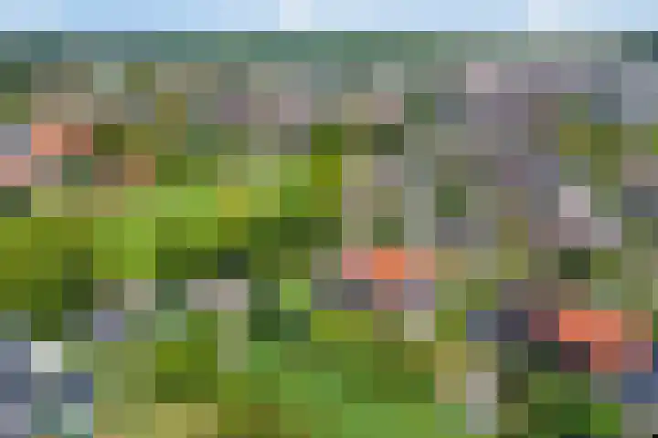 Oude Dijk 6 Kapelle thumbnail 44