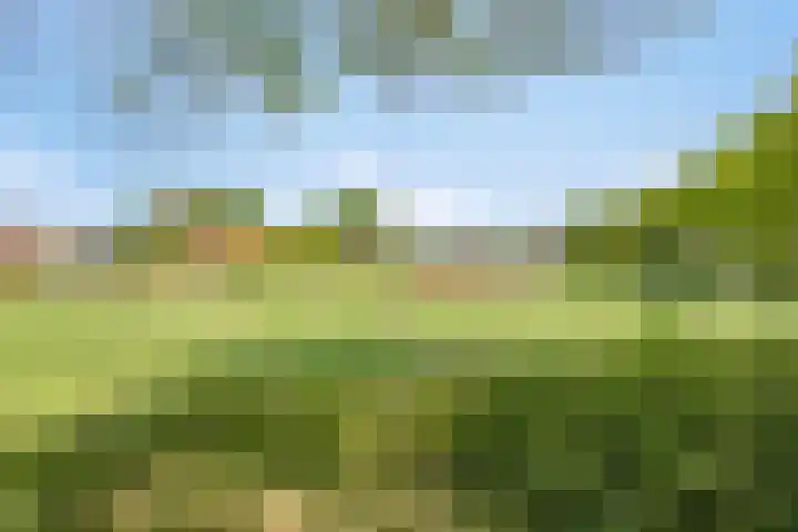 Oude Dijk 6 Kapelle thumbnail 46