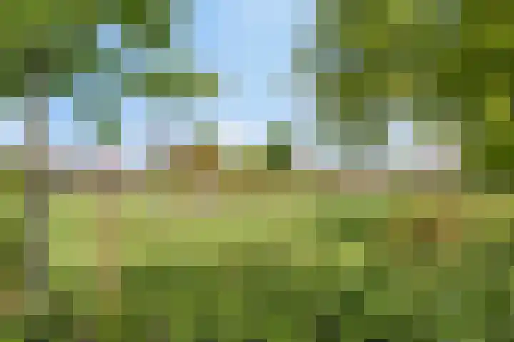 Oude Dijk 6 Kapelle thumbnail 47
