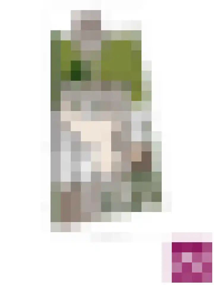 Oude Dijk 6 Kapelle thumbnail 49