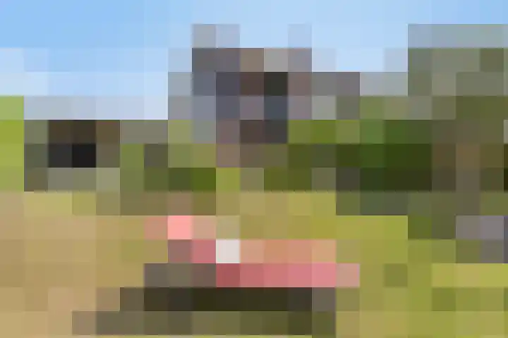 Oude Dijk 6 Kapelle thumbnail 5