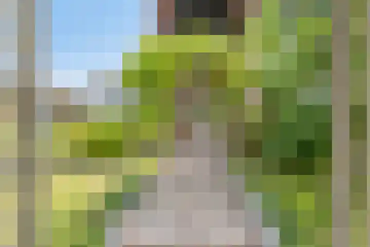 Oude Dijk 6 Kapelle thumbnail 6