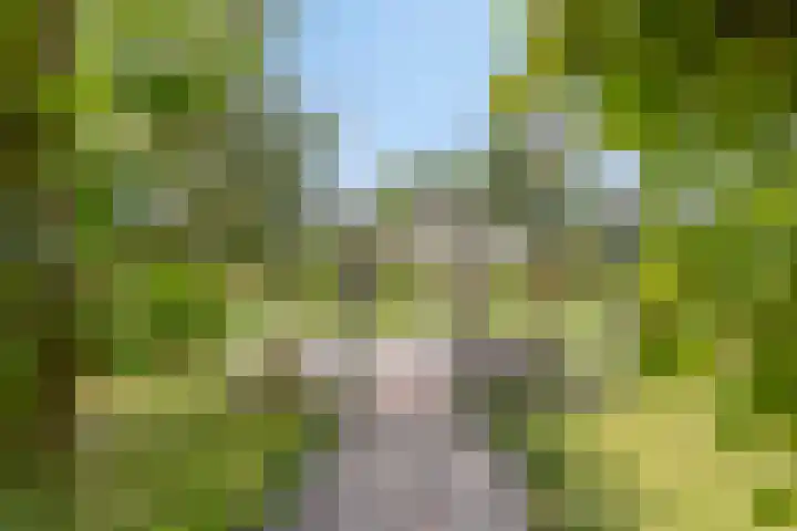 Oude Dijk 6 Kapelle thumbnail 7