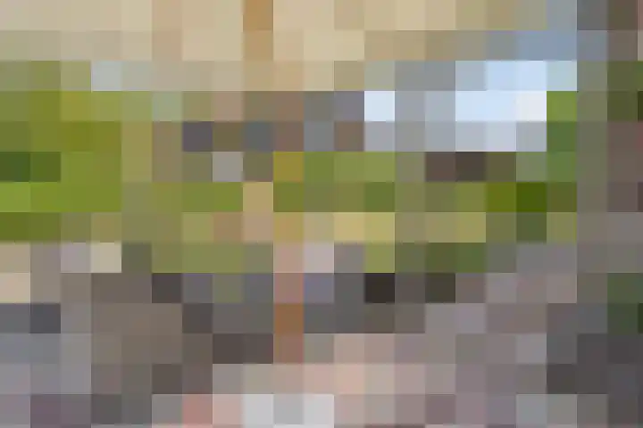 Oude Dijk 6 Kapelle thumbnail 8
