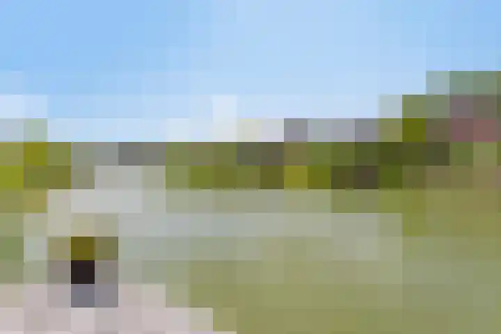 Oude Dijk 6 Kapelle thumbnail 9