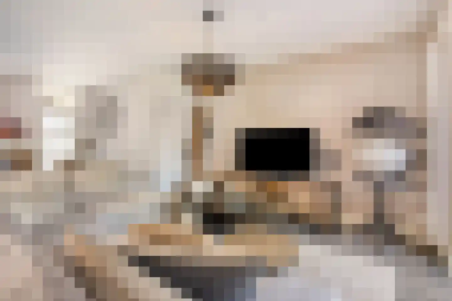 Oude Dijk 62 Liempde thumbnail 13
