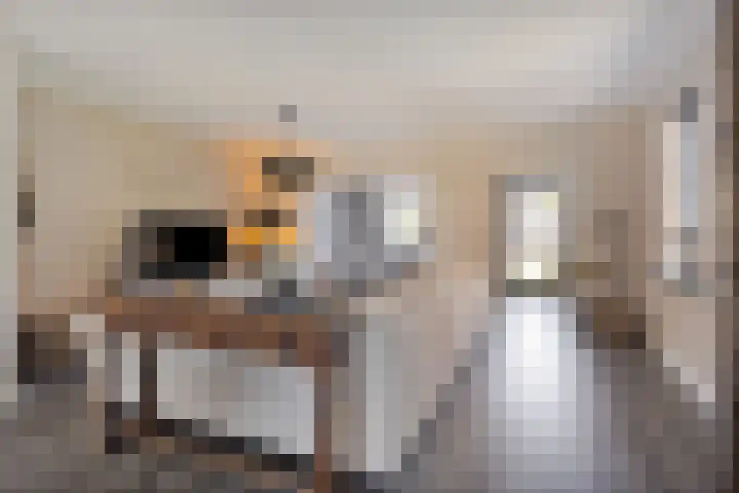 Oude Dijk 62 Liempde foto 2
