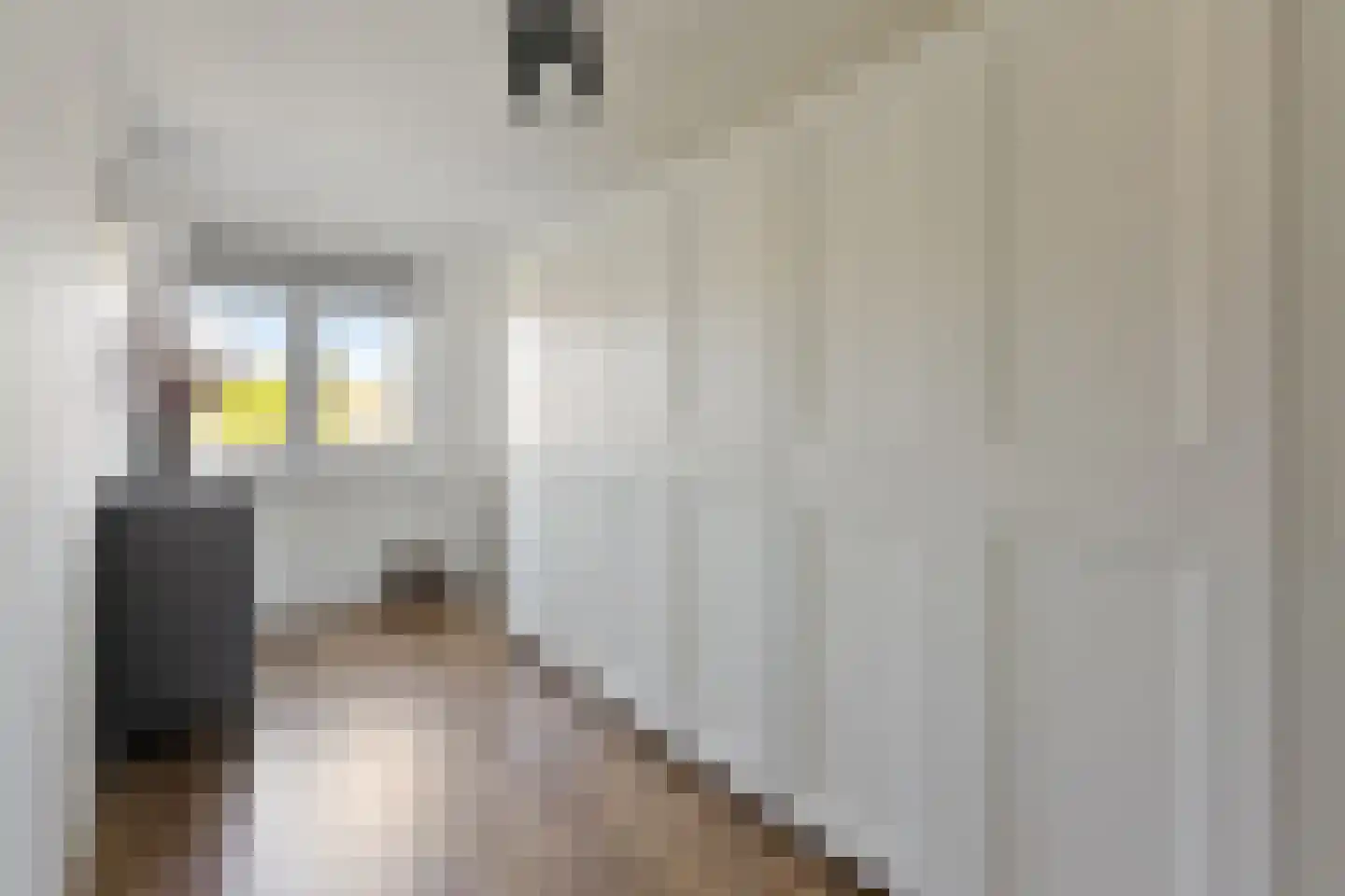 Oude Dijk 62 Liempde thumbnail 22