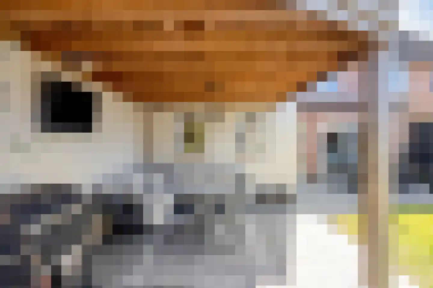 Oude Dijk 62 Liempde thumbnail 39