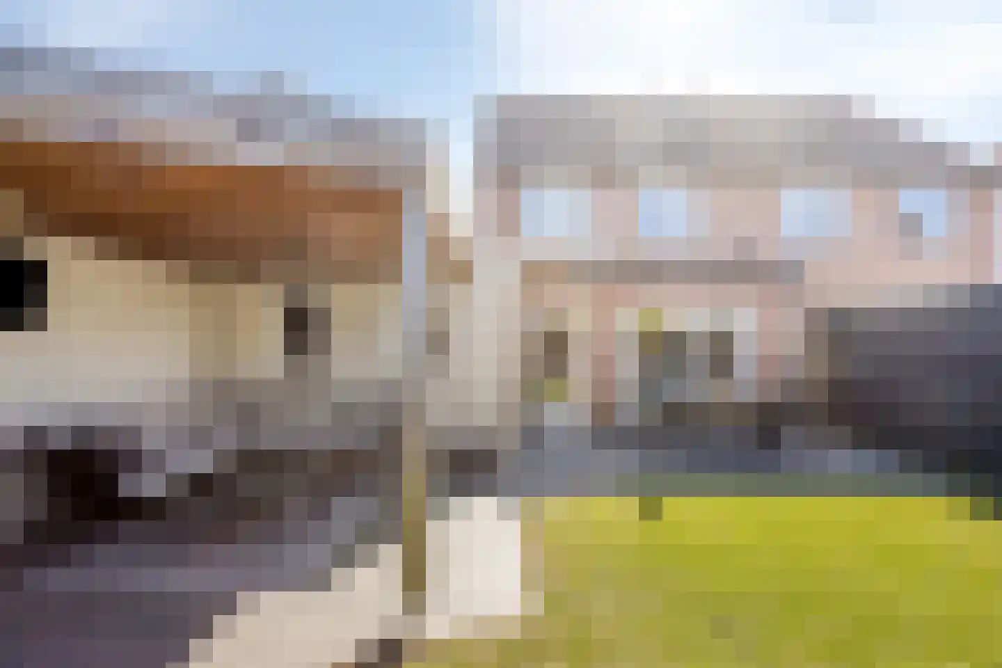 Oude Dijk 62 Liempde thumbnail 40