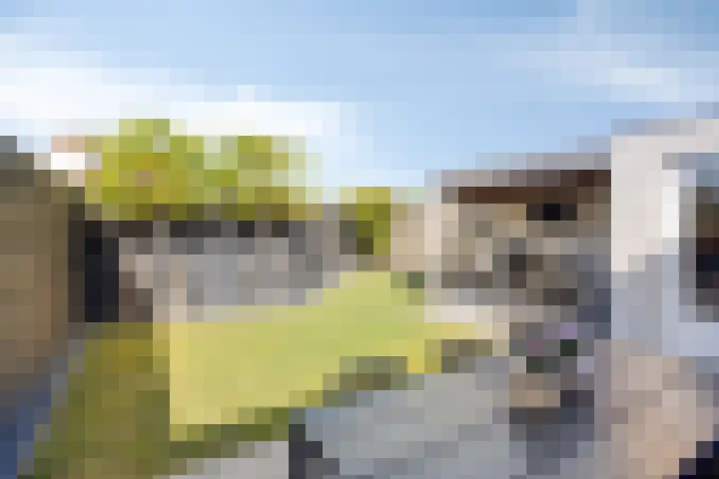Oude Dijk 62 Liempde thumbnail 5