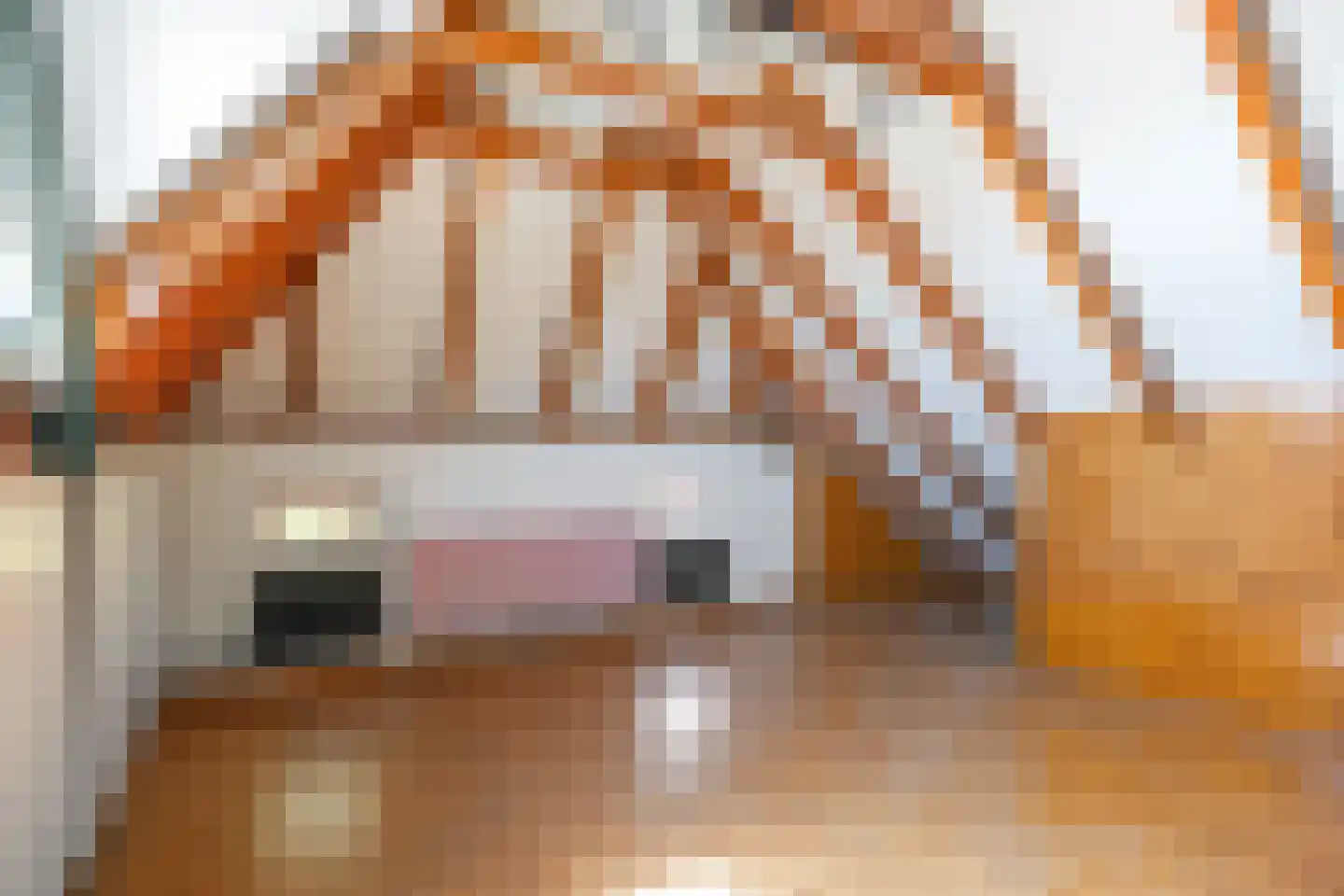 Oude Dijk 65 Den Andel thumbnail 32