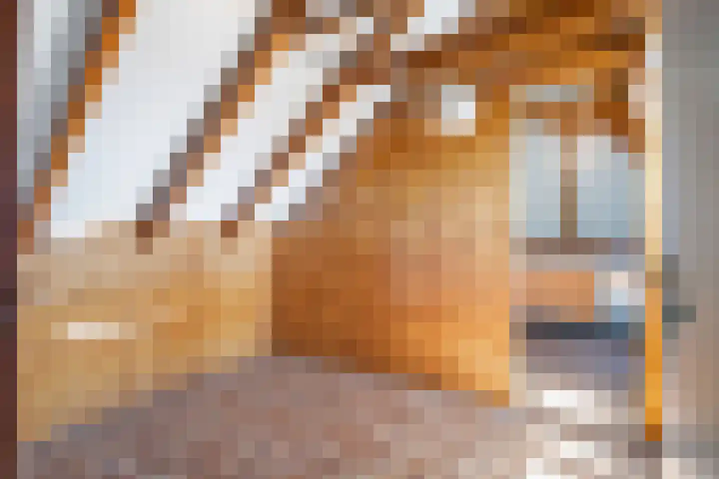 Oude Dijk 65 Den Andel thumbnail 34