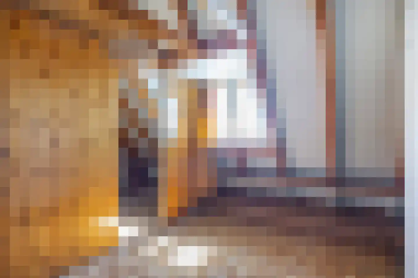 Oude Dijk 65 Den Andel thumbnail 35