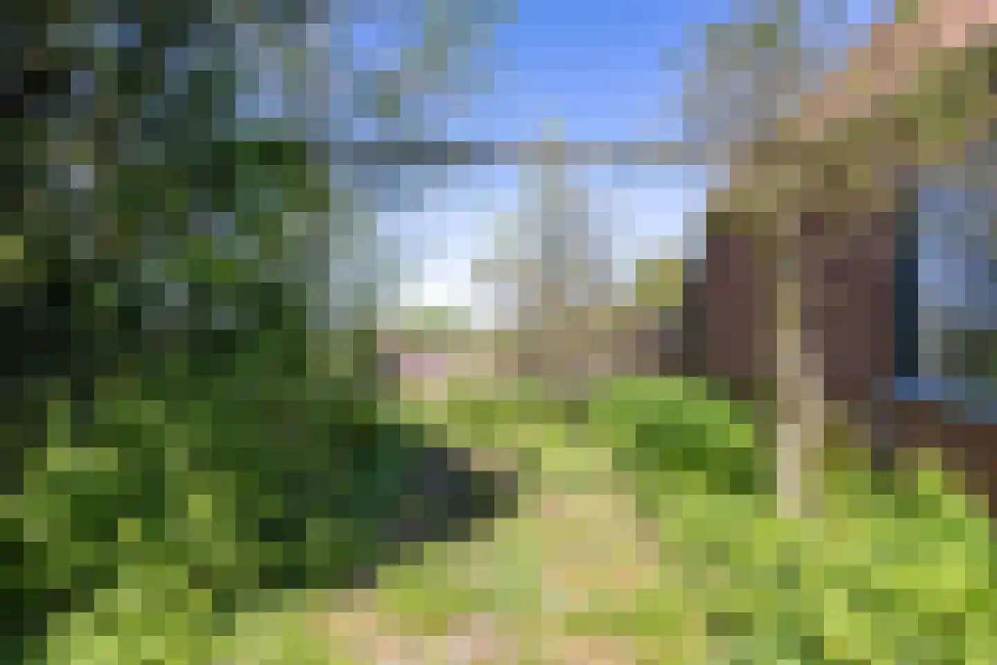 Oude Dijk 65 Den Andel thumbnail 37
