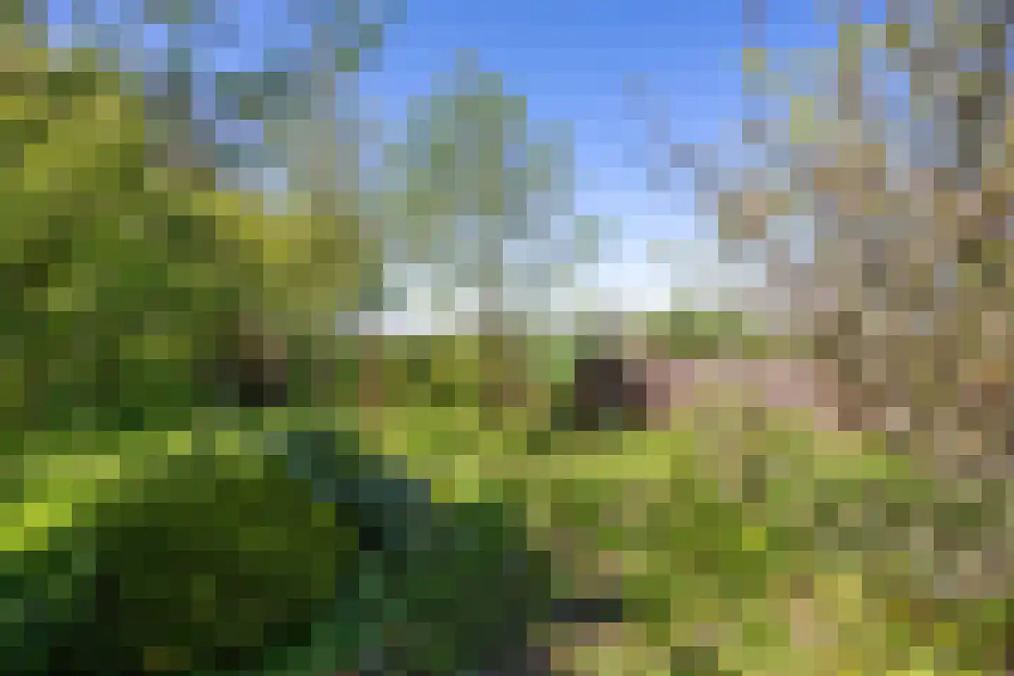 Oude Dijk 65 Den Andel thumbnail 38