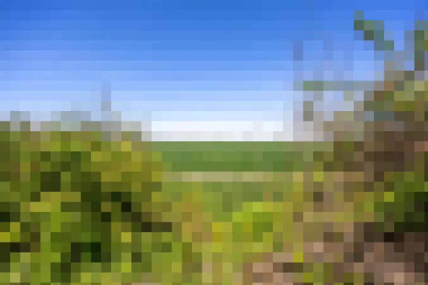 Oude Dijk 65 Den Andel thumbnail 39
