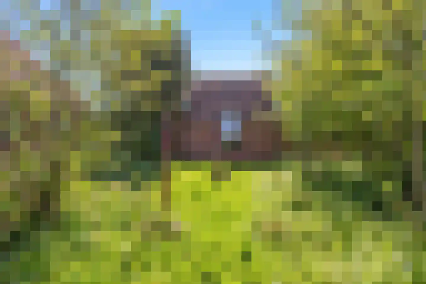 Oude Dijk 65 Den Andel thumbnail 41