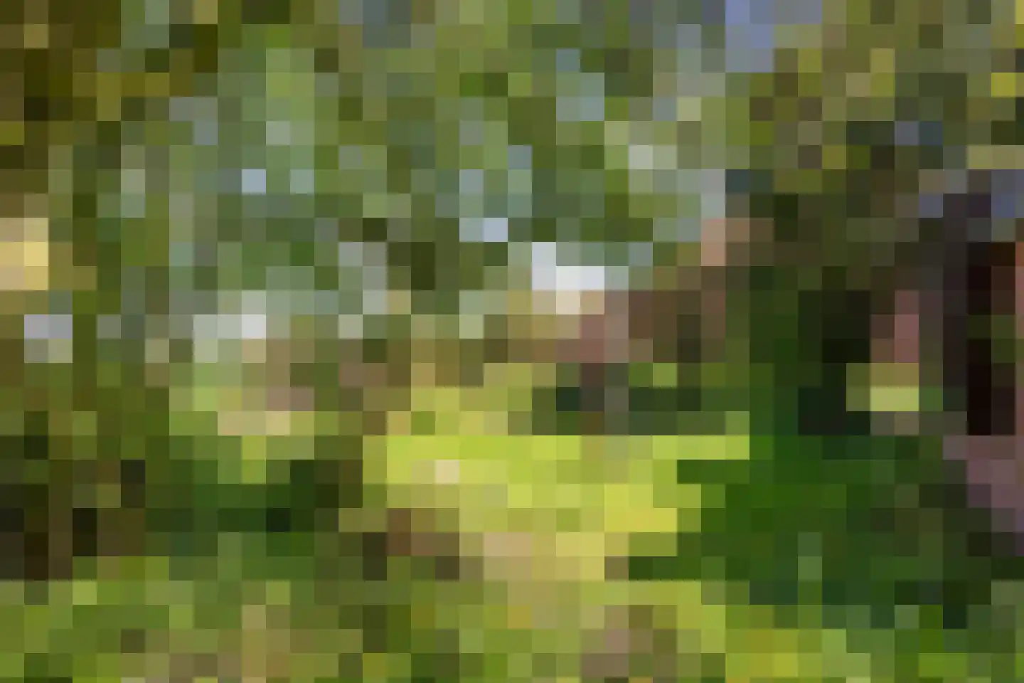 Oude Dijk 65 Den Andel thumbnail 42