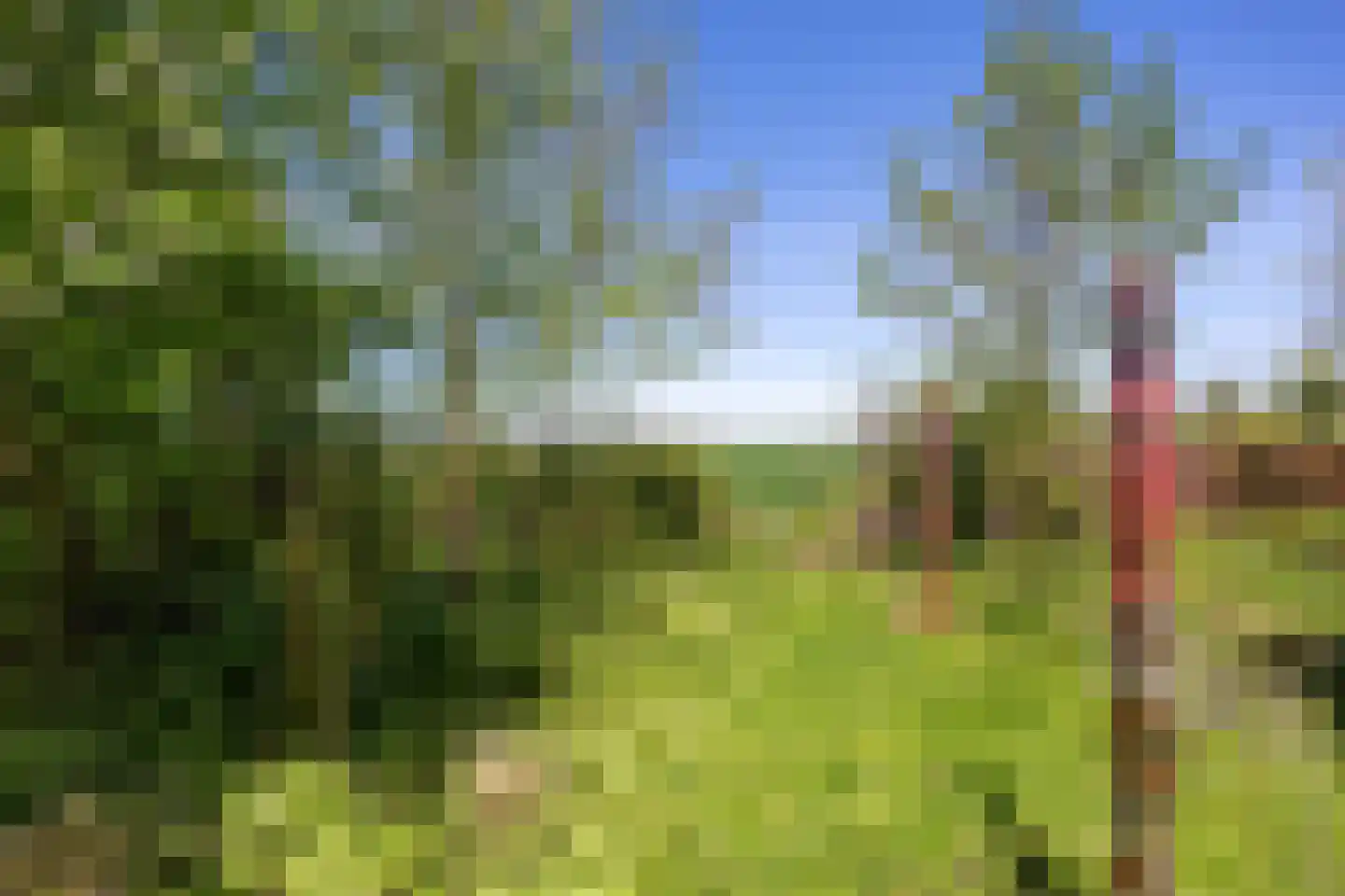 Oude Dijk 65 Den Andel thumbnail 43