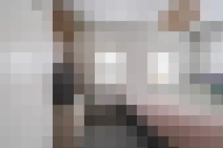 Oude Dijk 65 Liempde thumbnail 31