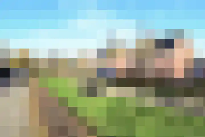 Oude Dijk 72 Liempde thumbnail 60
