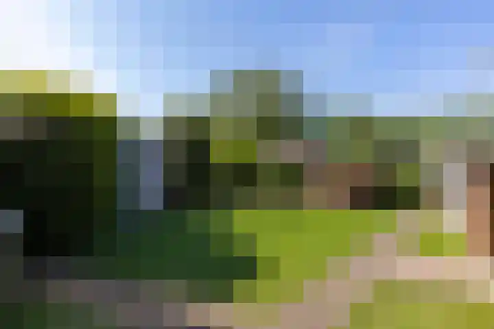 Oude Dijk 87 Liempde thumbnail 40