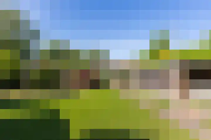 Oude Dijk 87 Liempde thumbnail 41