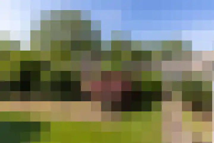 Oude Dijk 87 Liempde thumbnail 44