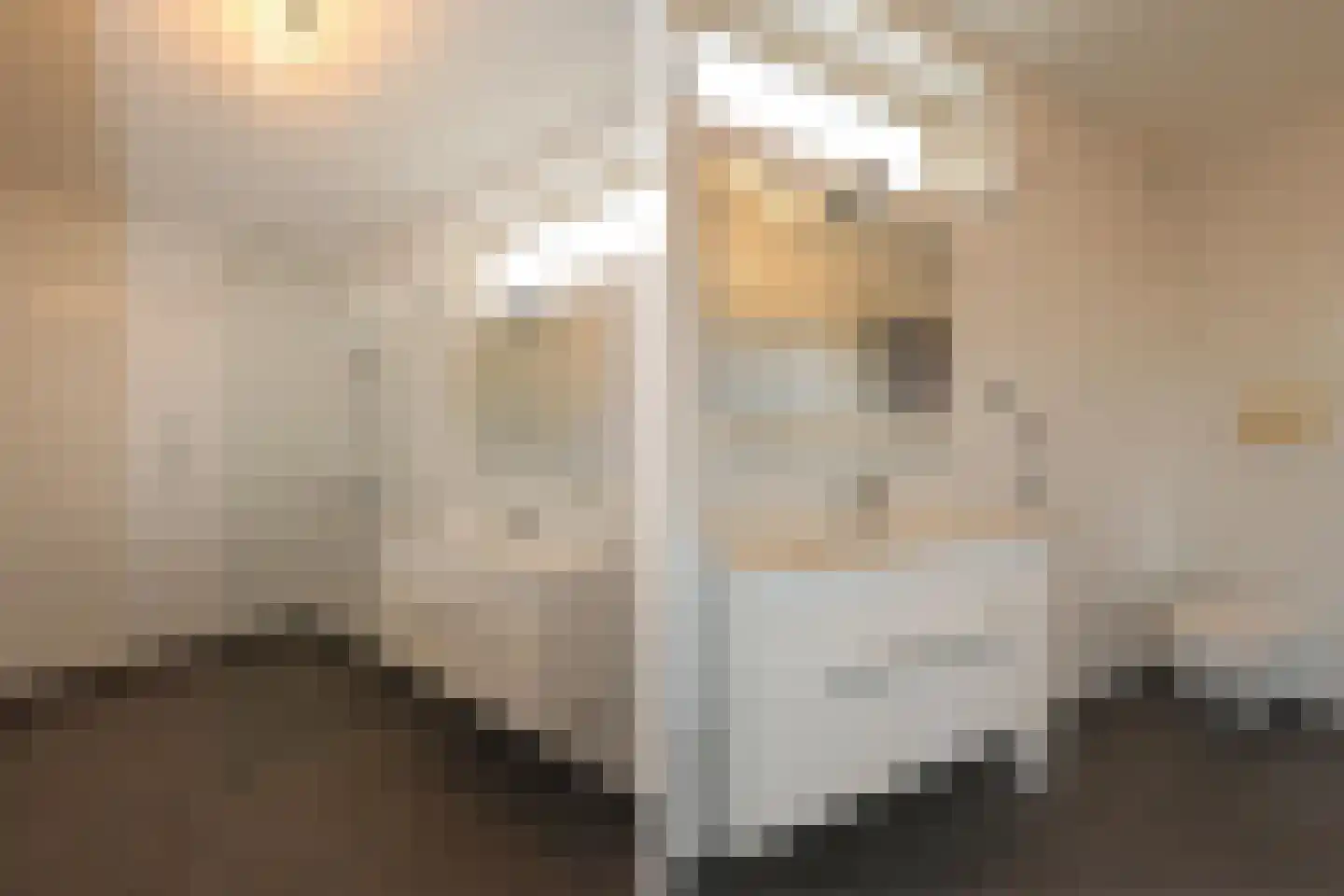 Oude Dijk 9 Sneek thumbnail 16