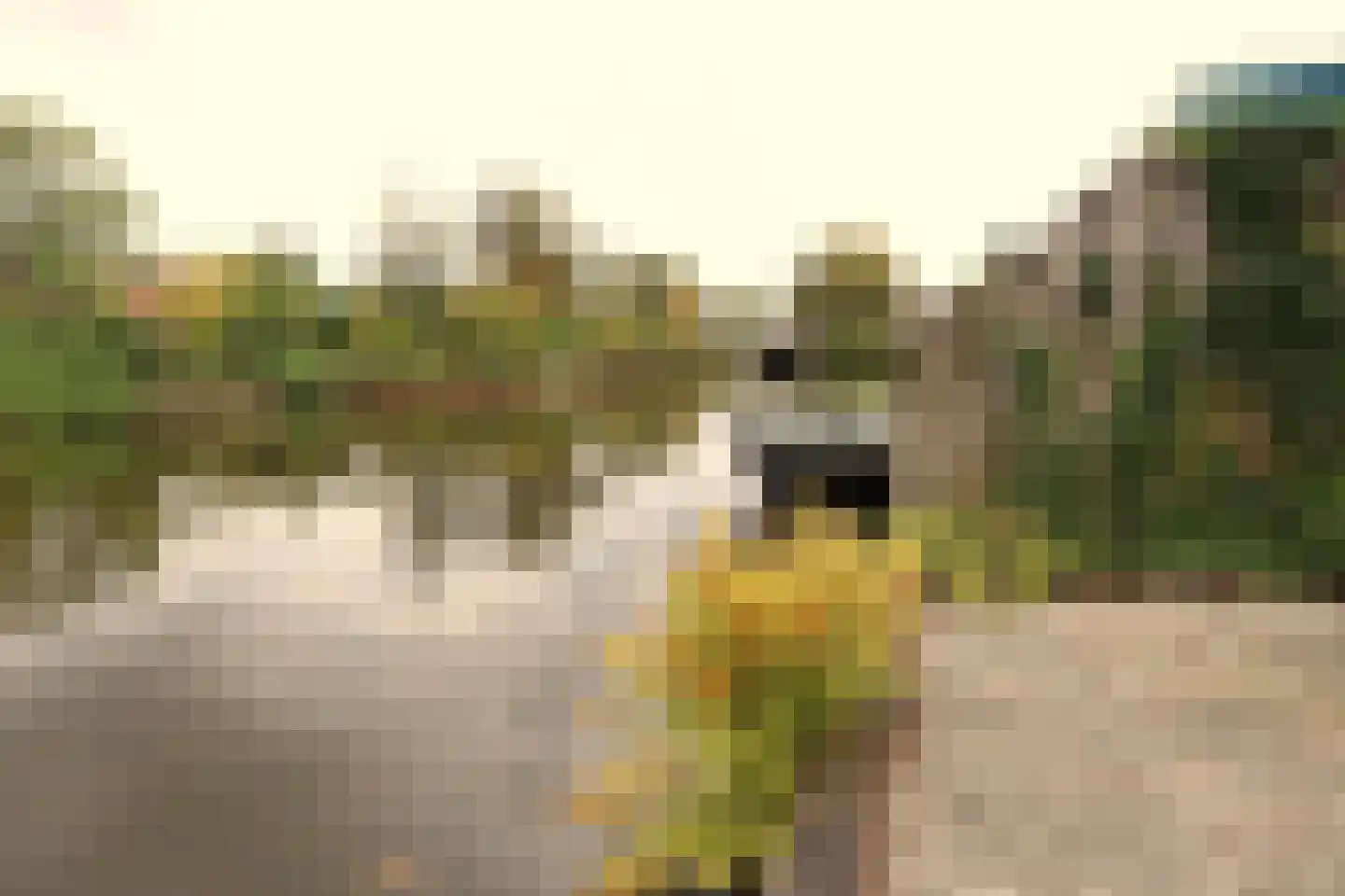 Oude Dijk 9 Sneek thumbnail 25