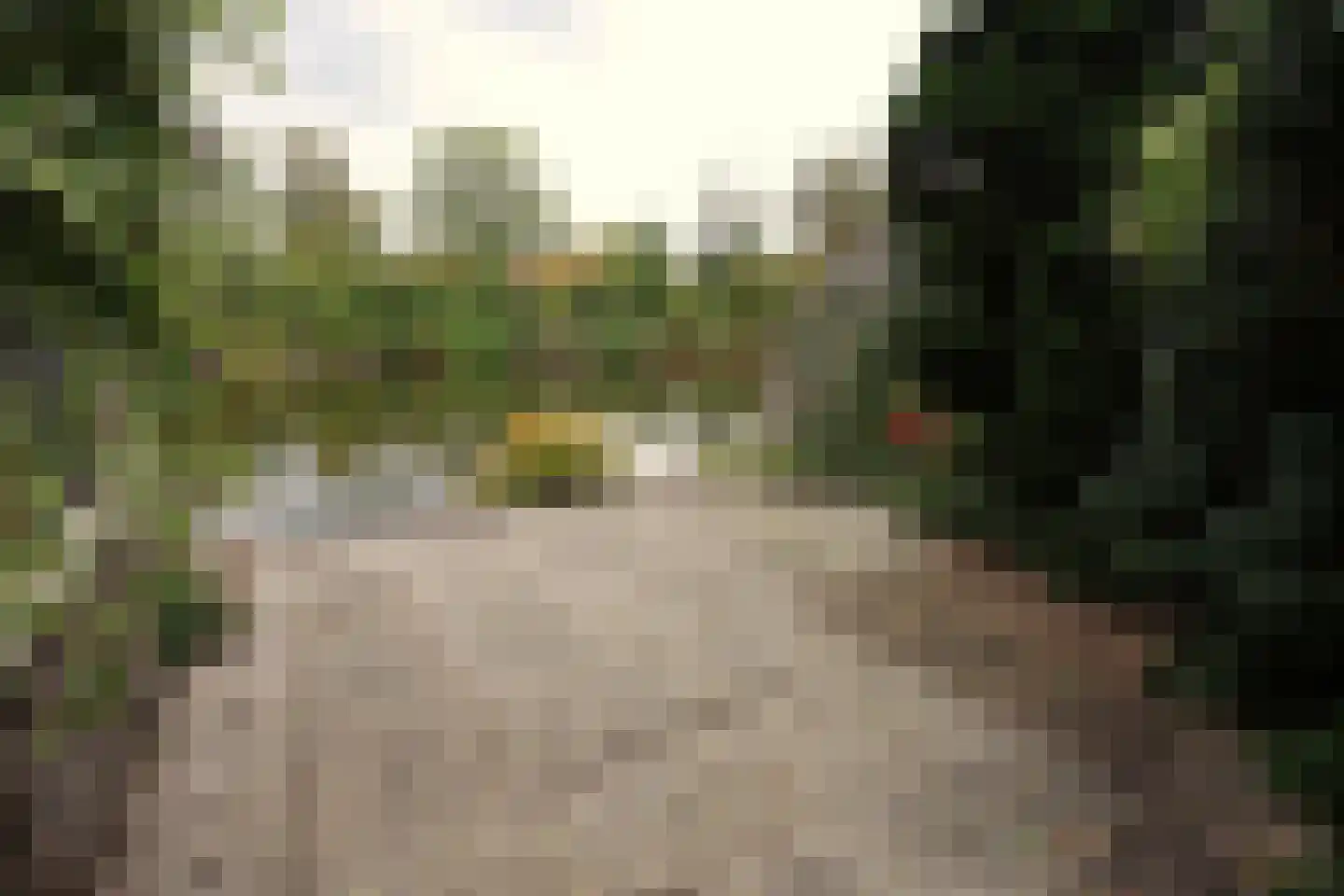 Oude Dijk 9 Sneek thumbnail 26