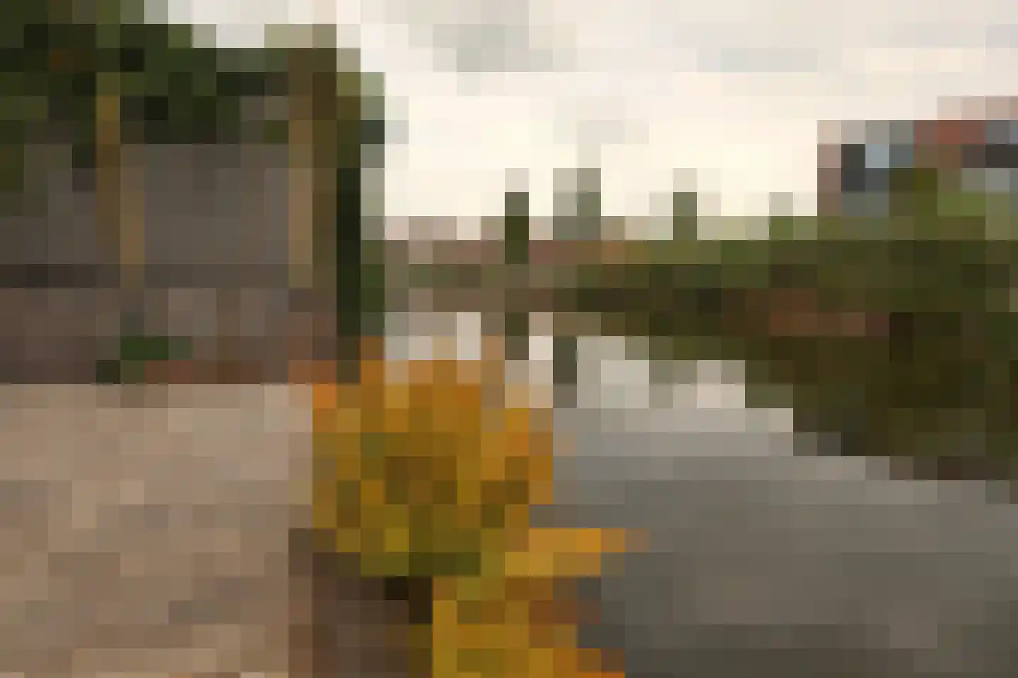 Oude Dijk 9 Sneek thumbnail 27