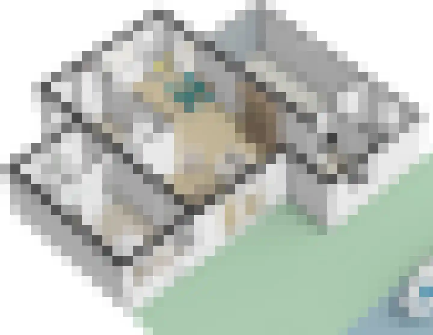 Oude Dijk 9 Sneek thumbnail 35